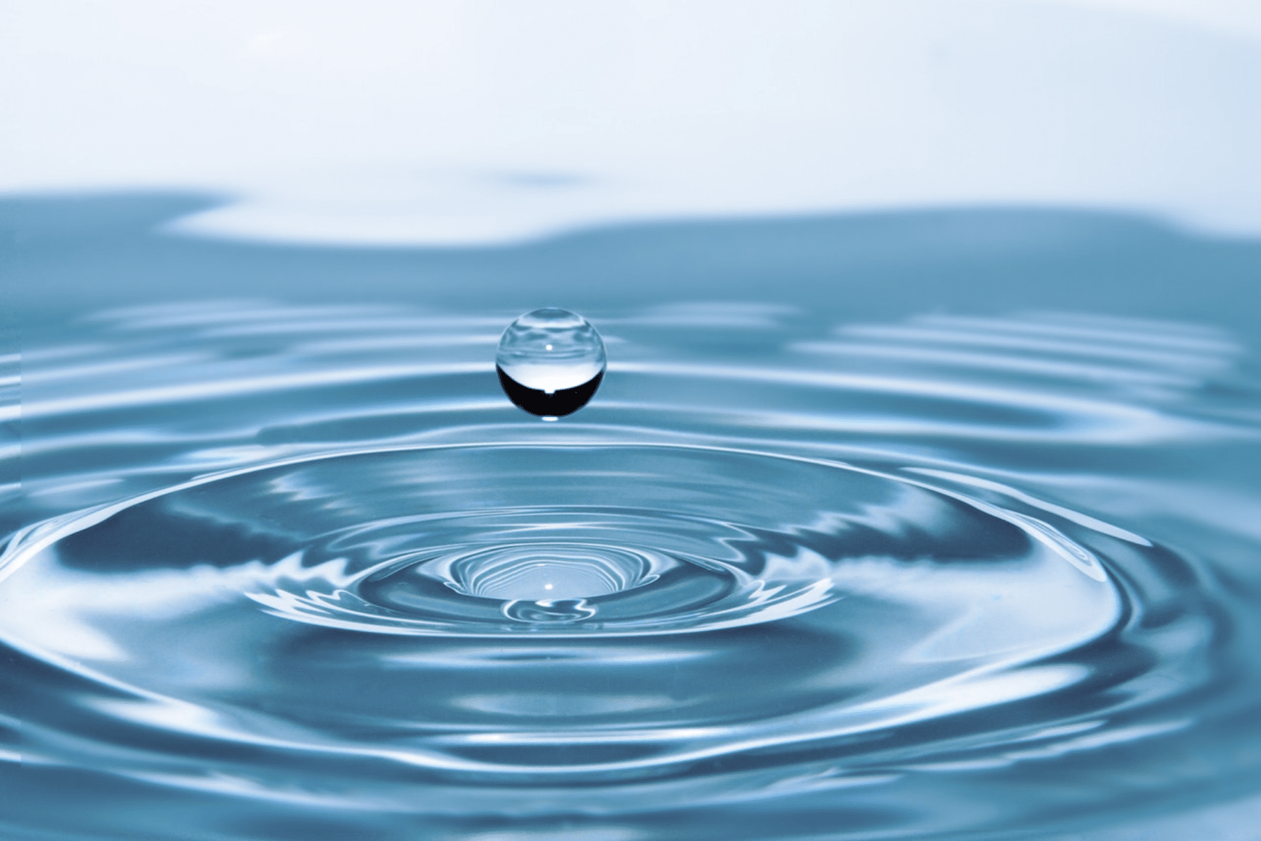 Explore the best structured water devices.
