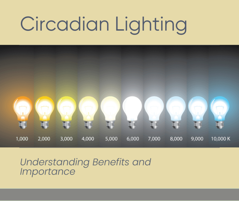 Graphic with light bulbs at different watts. Circadian Lighting
