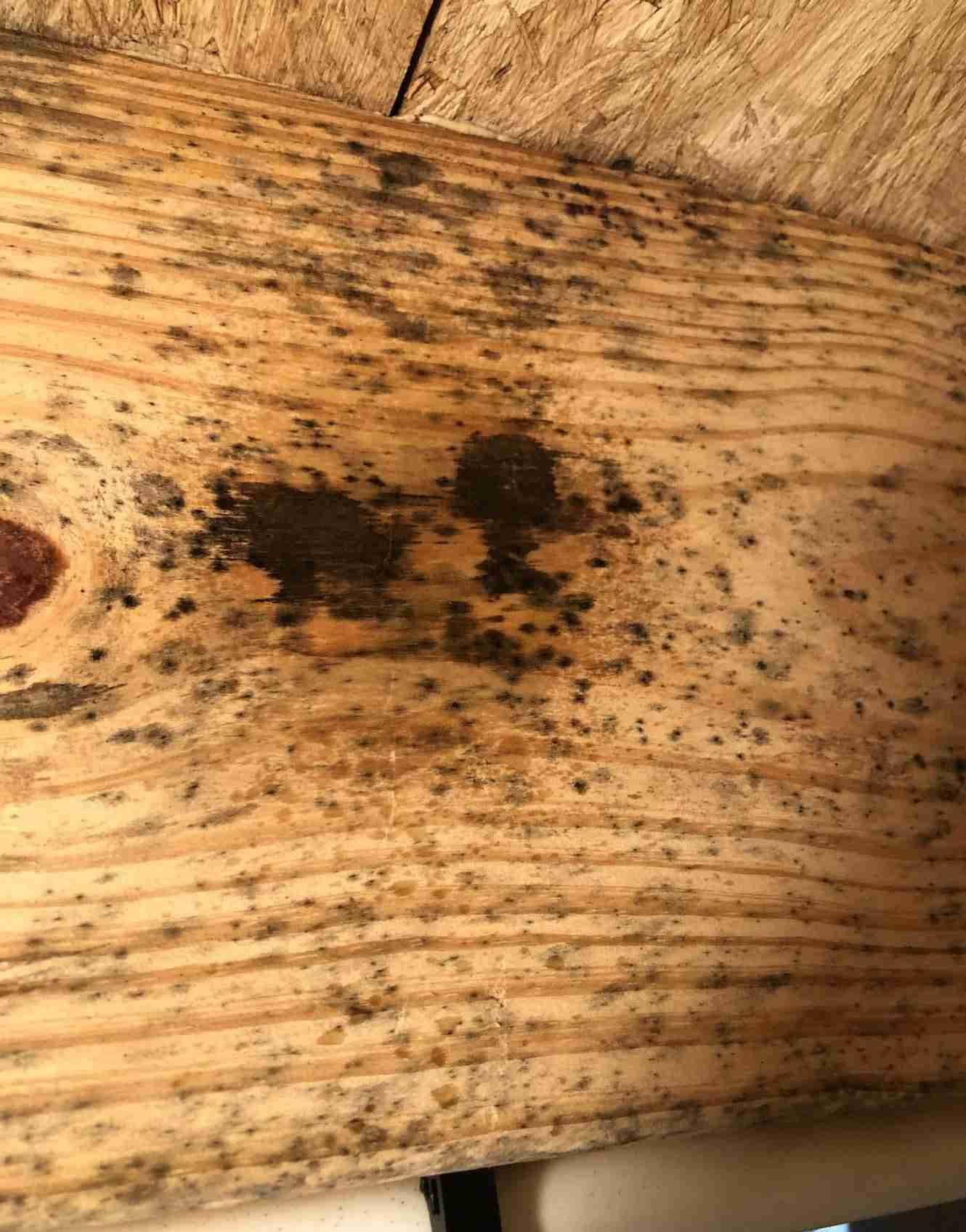 mold lvl header