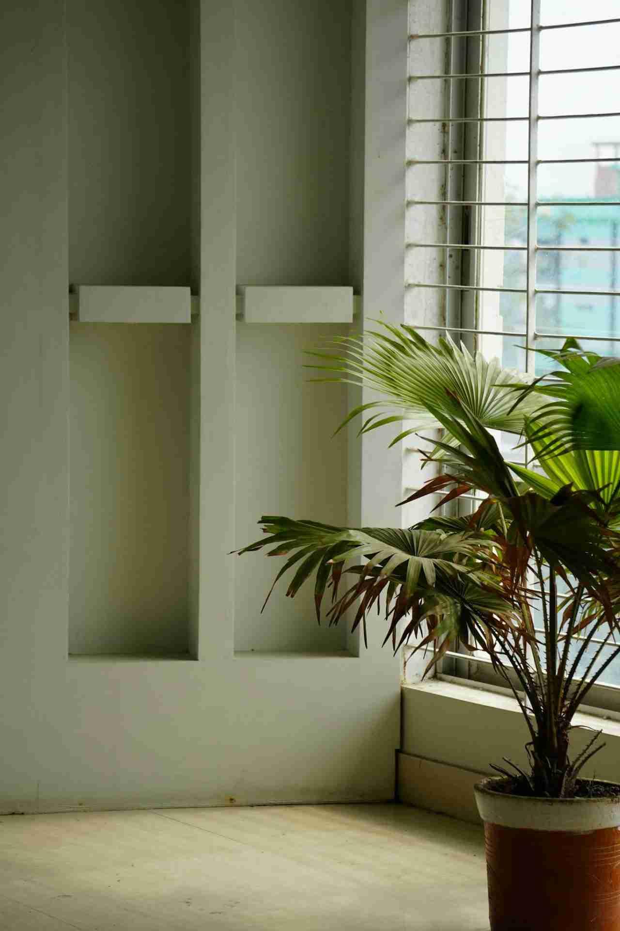 5 Powerful Solutions to Eliminate Why Your House Smells Musty