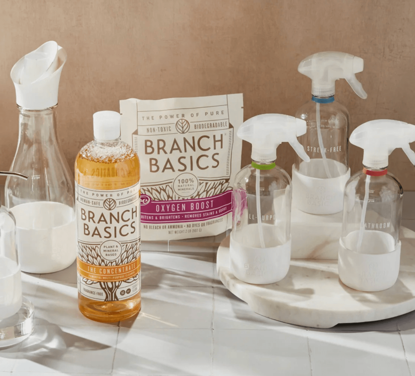Branch Basics logo